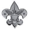 Boy Scouts of America image