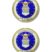 Air Force Crest Chrome Emblem Minis image 1