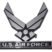 Air Force Wings Chrome Emblem image 1