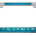 Aquaman License Plate Frame image 1