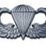 Army Parachute Chrome Emblem image 1