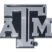 Texas A&M Chrome Emblem image 1