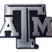 Texas A&M Matte Chrome Emblem image 1