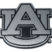 Auburn Matte Chrome Emblem image 1