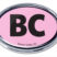 Beaver Creek Pink Chrome Emblem image 1