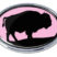Bison Pink Chrome Emblem image 1