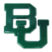 Baylor University Green Powder Coated Emblem image 1