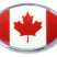 Canadian Flag Chrome Emblem image 1