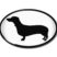 Dachshund 3D Decal 2-Pack image 5