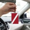 Dive Flag Air Freshener 6-Pack image 4