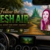The Wizard of Oz Dorothy Air Freshener 6-Pack image 11