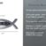 Christian Fish Isaiah 40:31 Chrome Emblem image 6