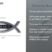 Christian Fish Isaiah 40:31 Verse Chrome Emblem image 6