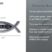 Christian Fish John 3:16 Verse Chrome Emblem image 6