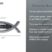 Christian Fish Matthew 19:26 Verse Chrome Emblem image 6