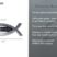 Christian Fish Matthew 6:33 Chrome Emblem image 6