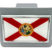 Florida Chrome Flag Brushed Chrome Hitch Cover image 2