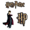 Harry Potter Decal 3-Pack image 1