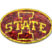 Iowa State Red 3D Reflective Decal image 1