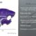 Kansas State Purple 3D Reflective Decal image 7