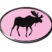 Moose 3D Decal 2-Pack image 6