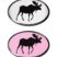 Moose 3D Decal 2-Pack image 1