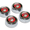 Marine License Plate Frame Screw Caps image 1