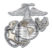 Marines Premium Anchor Chrome Emblem with Gold Accent image 1