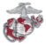 Marines Premium Anchor Chrome Emblem with Red Accent image 1