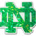 Notre Dame Green Outline 3D Reflective Decal image 1