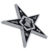 Eastern Star Chrome Emblem image 2