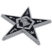 Eastern Star Chrome Emblem image 3