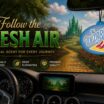 The Wizard of Oz Dorothy Air Freshener 6-Pack image 2