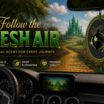 The Wizard of Oz Variety Pack Air Freshener 6-Pack image 2