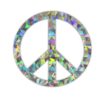 Reflective Silver Peace Sign Decal image 1