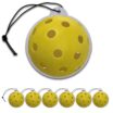 Pickleball Air Freshener 6-Pack image 1
