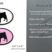 Pug 3D Decal 2-Pack image 7