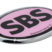 Steamboat Springs Pink Chrome Emblem image 2