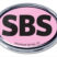 Steamboat Springs Pink Chrome Emblem image 1
