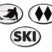 Ski 3D Decal 3-Pack image 1