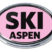 Ski Aspen Pink Chrome Emblem image 1