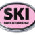 Ski Breckenridge Pink Chrome Emblem image 1