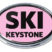 Ski Keystone Pink Chrome Emblem image 1