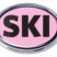 Ski Pink Chrome Emblem image 1