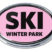 Ski Winter Park Pink Chrome Emblem image 1