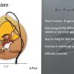 Speedy Gonzales Air Freshener  6 Pack - ACME Fresh Scent image 3