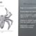 Lightning Chrome Spider Emblem image 9