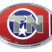 Tennessee Flag Chrome Emblem image 1
