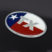Texas Flag Oval Chrome Emblem image 2
