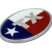Texas Flag Oval Chrome Emblem image 3